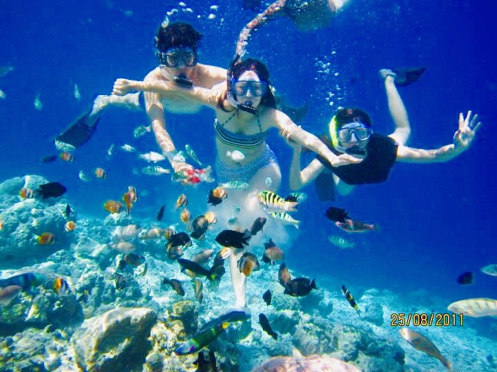 Friends snorkelling among tropical fish