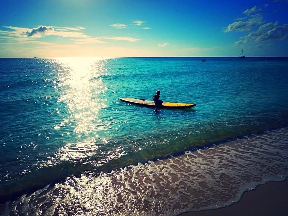 Paradise Paddle Cayman rentals on 7 Mile Beach, photo 8