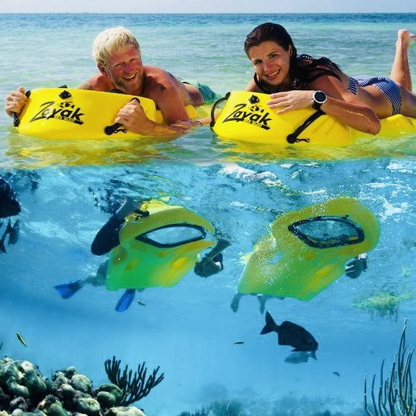 Couple looking through yellow Seaview Boards at the fish below