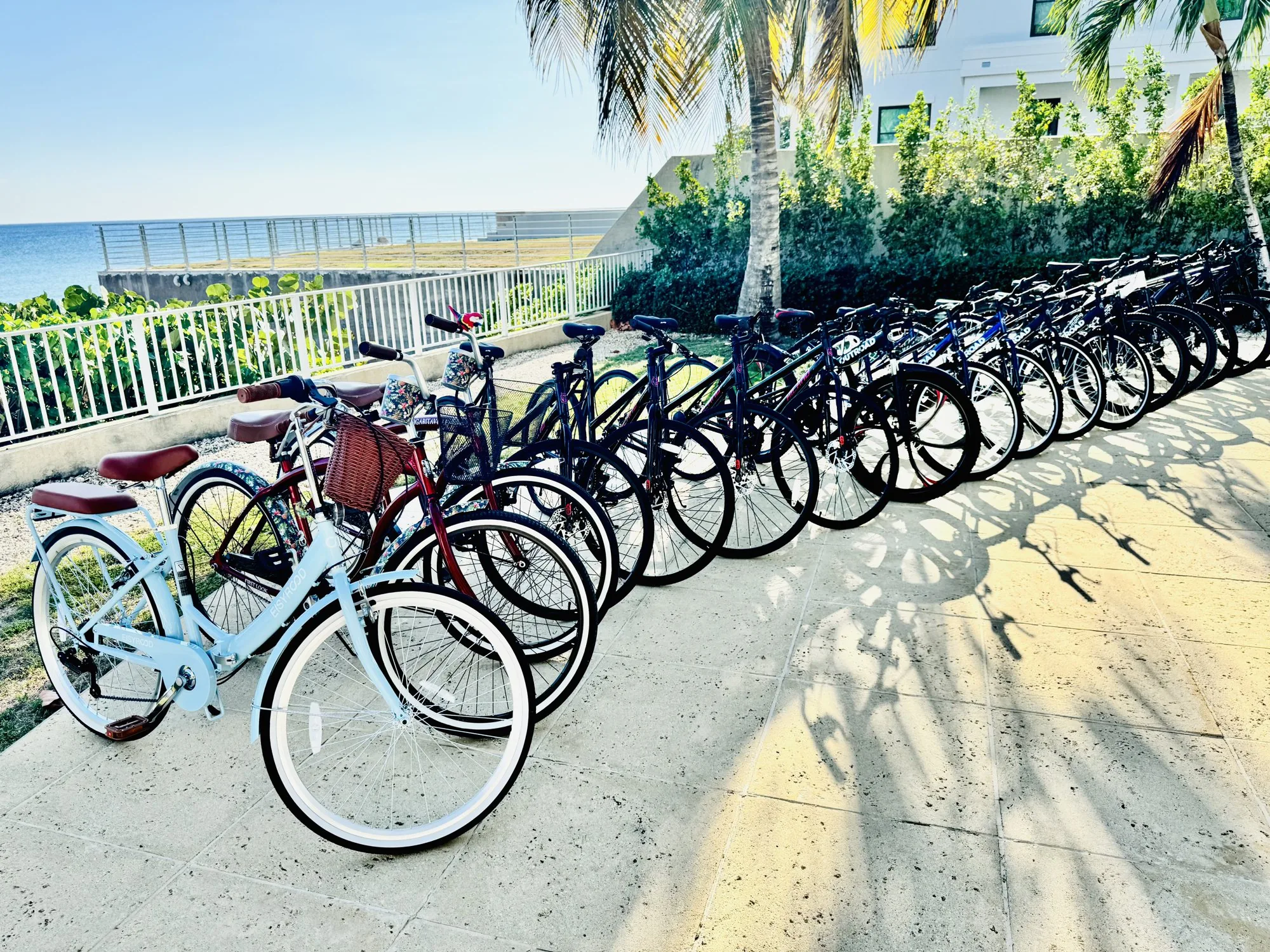 Row of rental bikes by the beach