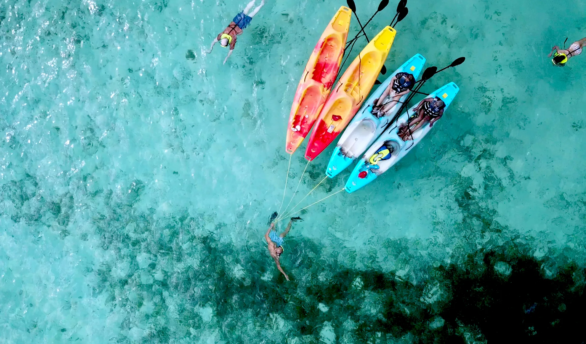 Paradise Paddle Cayman rentals on 7 Mile Beach, photo 6
